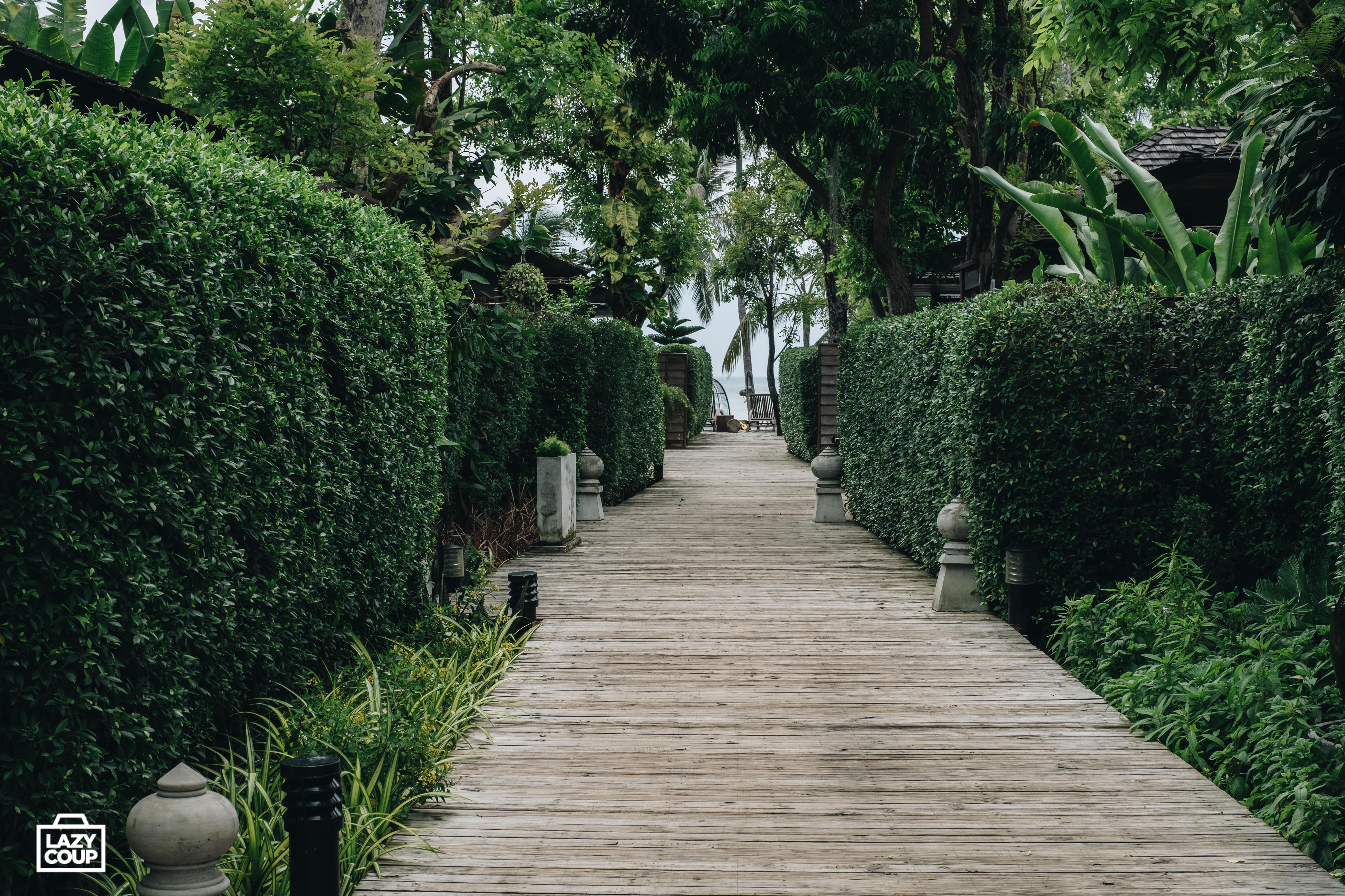 Tango Luxe Beach Villa, Koh Samui Choeng Mon Luaran gambar